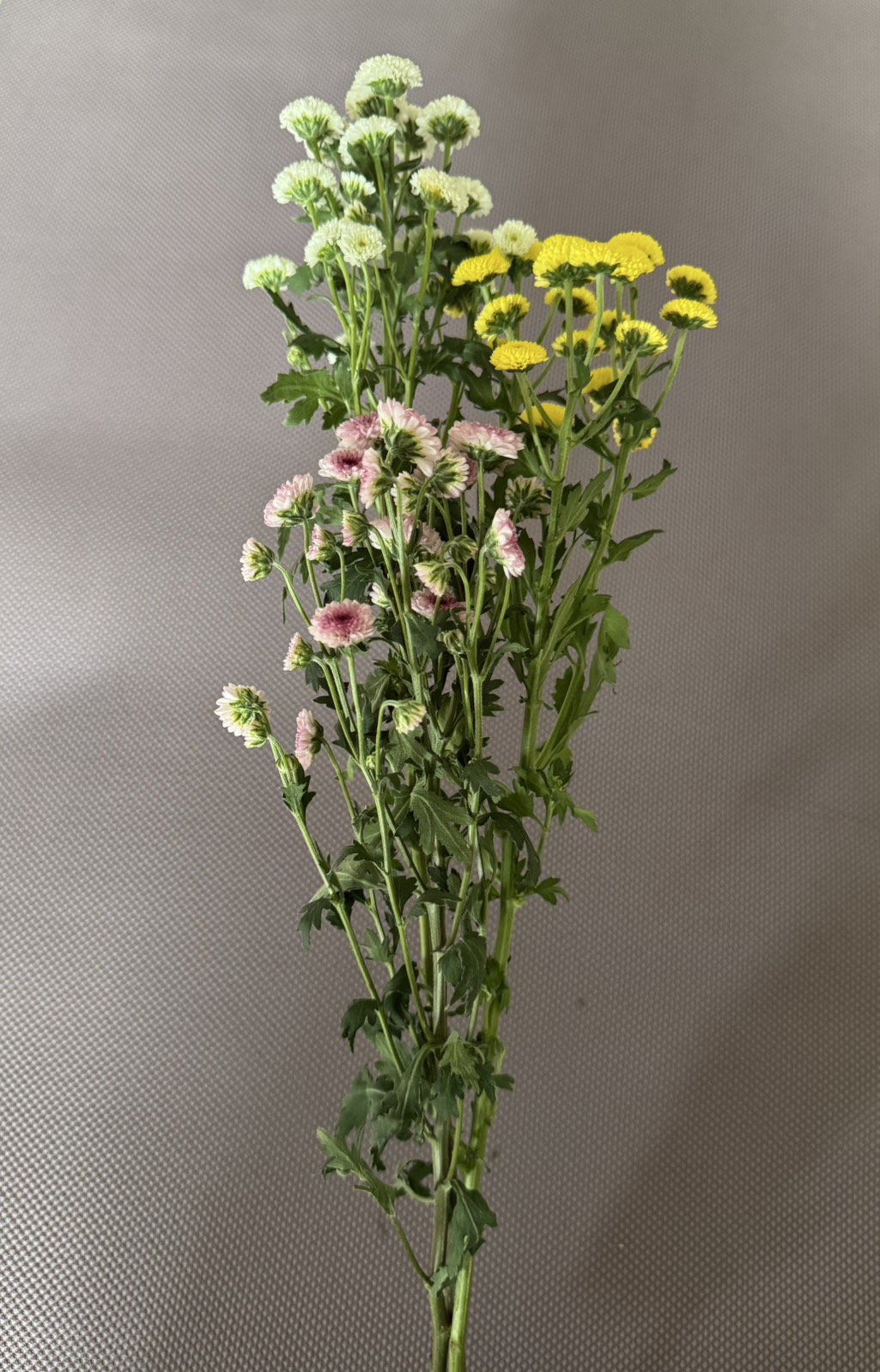 お花（仏花）見本