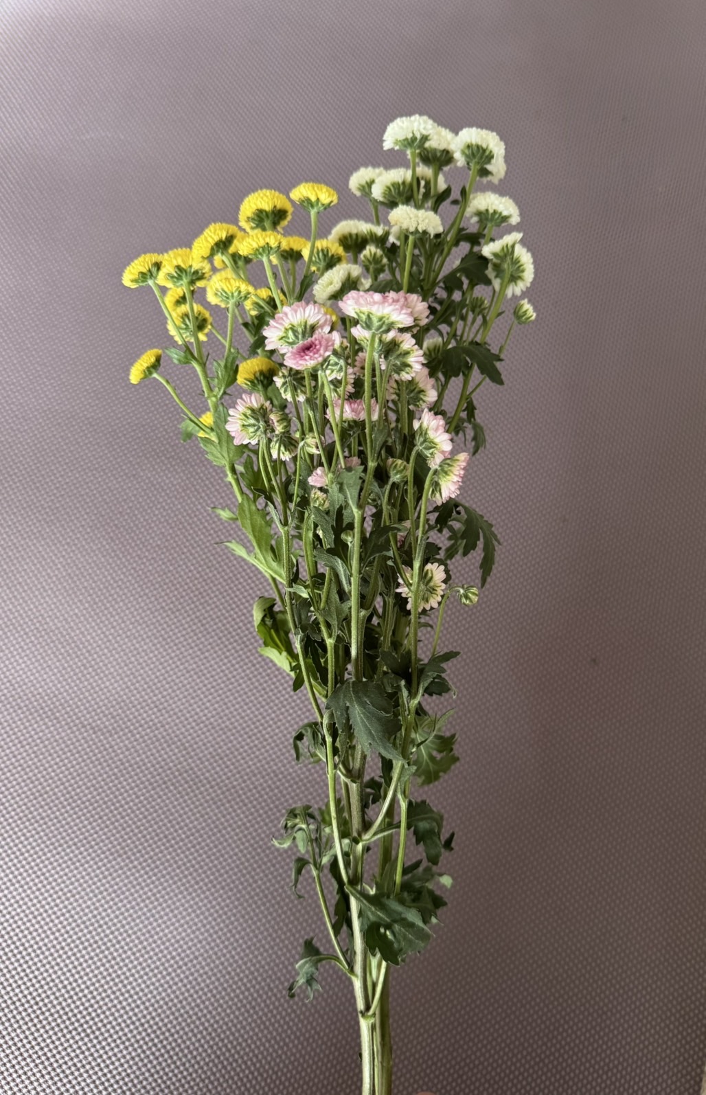 お花（仏花）見本